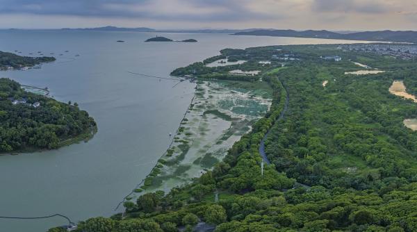 China a introdus nanobule pe o suprafață de 3.300 de metri pătrați din Lacul Taihu. Ce s-a întâmplat după 20 de zile
