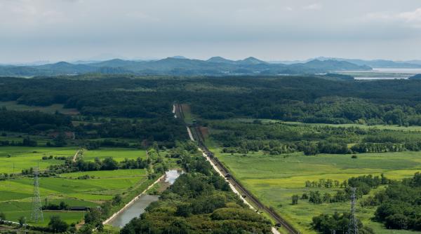 În 1953, Coreea de Nord și Sud au creat o zonă demilitarizată. Decenii fără oameni au transformat-o în raiul de 249 km al animalelor
