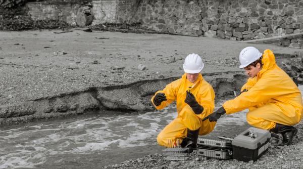 În 1987, cercetătorii au turnat cadmiu radioactiv într-un lac din Ontario. În șase ani, au descoperit unde a ajuns peste 90% din metal