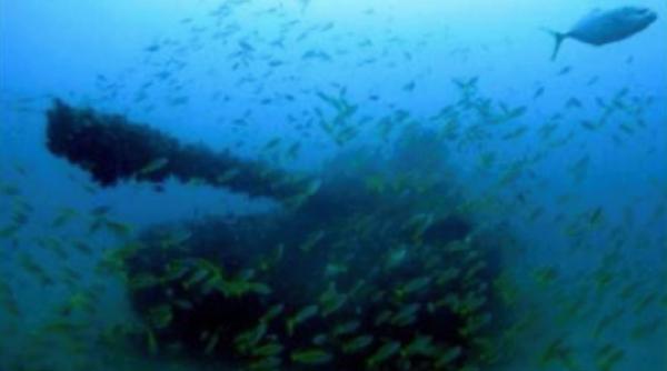 in 2010 thailanda a scufundat 25 de tancuri militare pentru a crea recife artificiale dupa ani 53 de specii de pesti traiau acolo