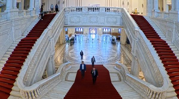 intalnirea bolojan simina tanasescu ofiterul spp a fost audiat doamna fiind cine o stiu doar de la televizor
