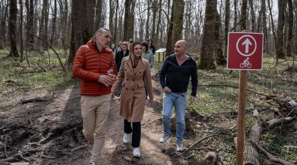 scandalul drumului din padurea baneasa diana buzoianu acuza romsilva mimeaza ca apara padurile in instante dar face fix pe dos