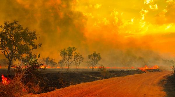 Probabilitatea lui Super El Niño a ajuns la 75%. A crescut spectaculos de acum o lună. Șanse mari ca 2027 să fie un an de foc
