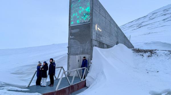 oamenii de stiinta spun ca seiful apocalipsei din norvegia este eclipsat de o alta banca de seminte ascunsa in sol