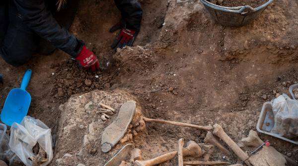 misterul unui cimitir preistoric din franta se adanceste pietre in forma de om ascunse sub pamant de mii de ani