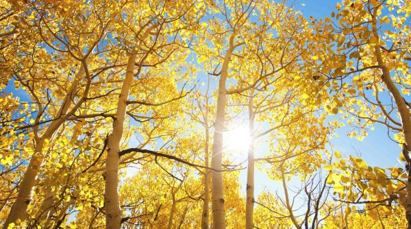 ce ne asteapta dupa jumatatea lui septembrie prognoza meteo pentru urmatoarele patru saptamani