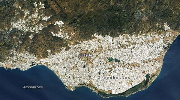 in anii 50 campo de dalias era o campie arida acum 33 000 de hectare de sere produc peste 4 milioane de tone de legume si fructe