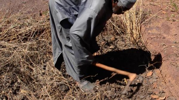 un fermier din africa a readus la viata o tehnica demult uitata cu termite gropi si balegar si a transformat un teren arid in padure