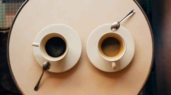 care este de fapt diferenta dintre cafeaua arabica si robusta cum o alegi pe cea mai buna