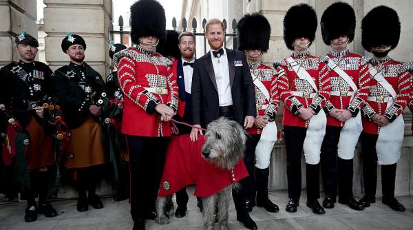 prima aparitie publica a printului harry de la revenirea sa in regatul unit