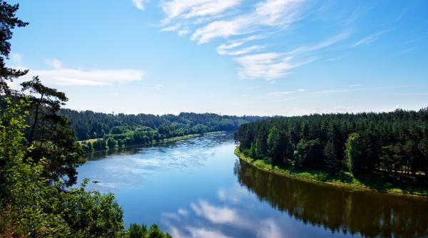 un rus de 68 de ani a inotat de la kaliningrad pana in lituania ca sa ceara azil politistii de frontiera nu l au crezut