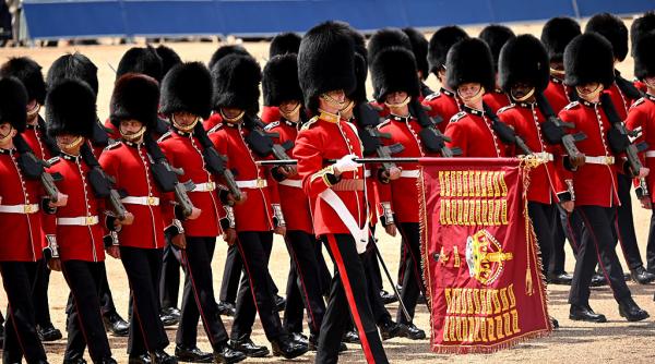cativa parlamentrai britanici vor ca blana de urs de castile garzilor regale sa fie inlocuita cu una sintetica