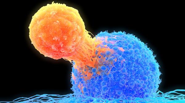 rezultat promitator in lupta impotriva cancerului un copil de 3 ani cu metastaze a raspuns la o terapie experimentala