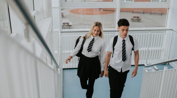 uniforma scolara devine obligatorie in scoli senatul a adoptat proiectul