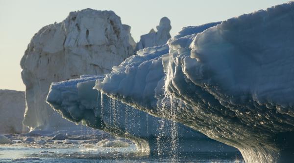 peste 12 5 trilioane de tone de gheata polara au disparut din groenlanda si antarctica incepand cu anii 70
