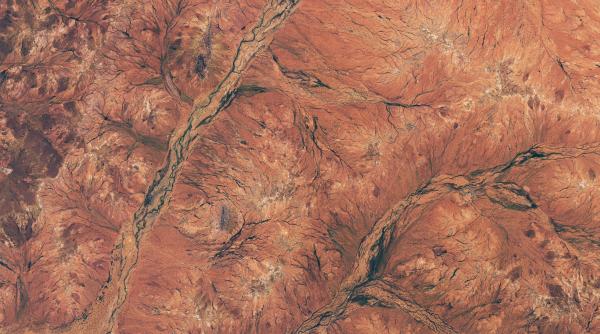 un desert a inflorit dupa ploi abundente cum arata peisajul neobisnuit vazut inclusiv din satelitii nasa