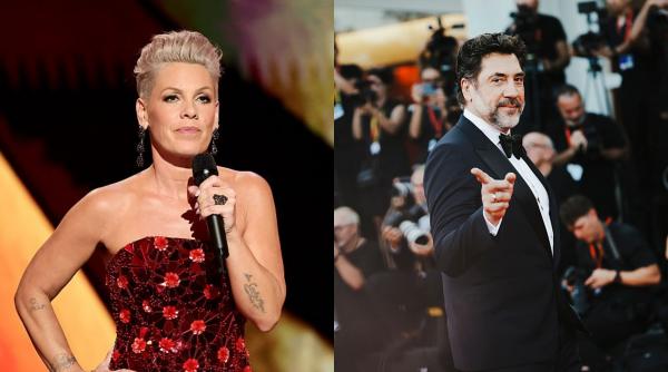 javier bardem distribuie petitia pentru retragerea lui pink din functia de ambasador unicef dupa scandalul macklemore ed sheeran