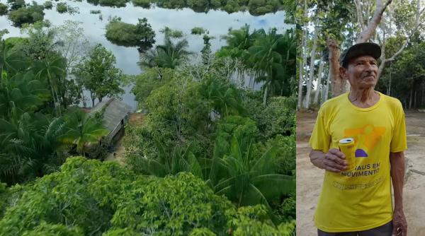 traieste singur in amazon de 39 de ani chico a plantat 1 500 de nuci de brazilia si si a construit propria lume in mijlocul junglei