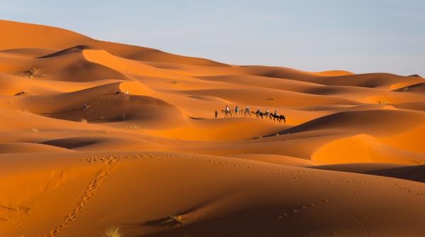 au intrat intr o pestera antica si au gasit dovezi ca sahara era o oaza de verdeata in urma cu 8 000 de ani