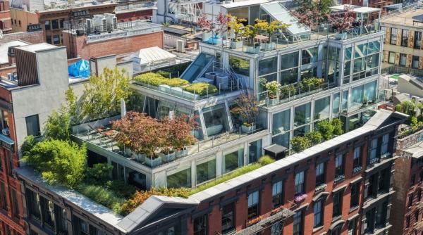 in 2010 thierry henry a platit 14 850 000 de pe un penthouse si apartamentul de sub el le a unit intr un triplex iar acum il vinde