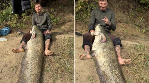 captura record pe somes un barbat a prins un somn de peste 2 metri dupa trei ore de lupta