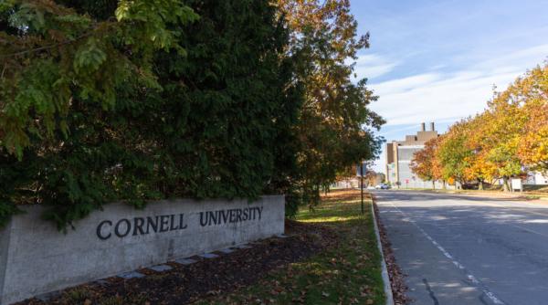 cornell7 scandalul care zguduie sua universitatea de top e data in judecata dupa ce 7 studenti ar fi violat in grup o colega