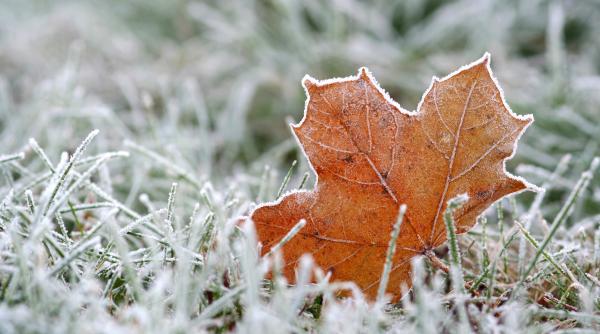 au fost minus 3 7 grade celsius la miercurea ciuc in aceasta dimineata temperaturi sub zero si in alte zone ale judetului harghita
