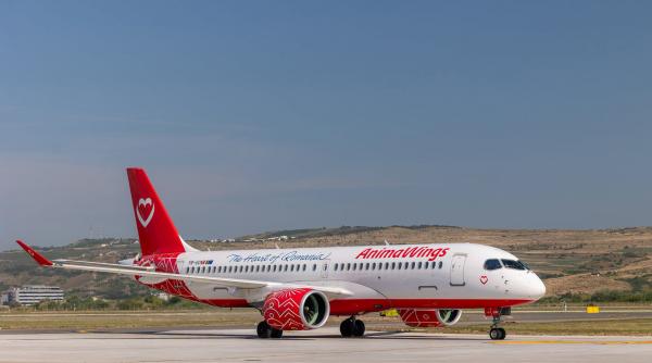 probleme mari la animawings compania a anuntat ca scoate din operare mare parte din avioane si zborurile sunt deja afectate