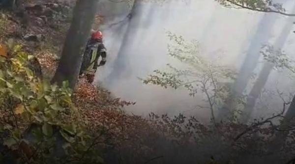 Incendiul din Domogled, lângă Băile Herculane, este greu de stins. Pompierii au aruncat într-o singură zi 200.000 de litri de apă 