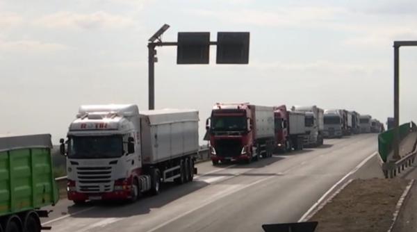 soferii care folosesc tollro nu mai pot fi amendati daca aplicatia are erori au fost 4 milioane de accesari in primele 12 ore