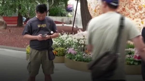 O pisică uriașă din flori, noua atracție din Shanghai. Turiștii stau la coadă pentru fotografii
