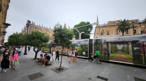 cum arata tramvaiul din sevilla care a fost colantat cu peisaje din romania darau vrem sa i determinam pe oameni sa vina in romania