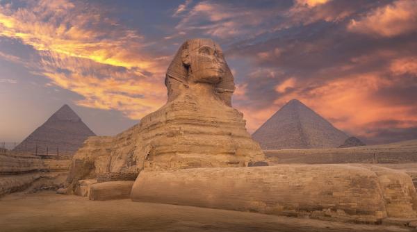 ce ascundea roca din care a fost construit marele sfinx cercetatorii au identificat o specie necunoscuta