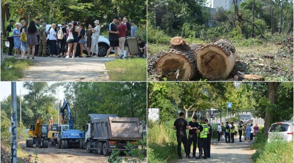intr un cartier din kiev lovit de rusia oamenii au iesit sa salveze copacii de proiectul primariei lui kliciko apoi totul a degenerat