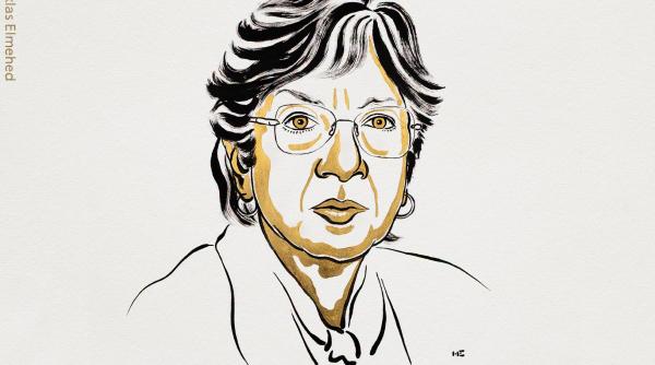 castigatoarea premiului nobel pentru pace este navanethem navi pillay fosta judecatoare la curtea penala internationala