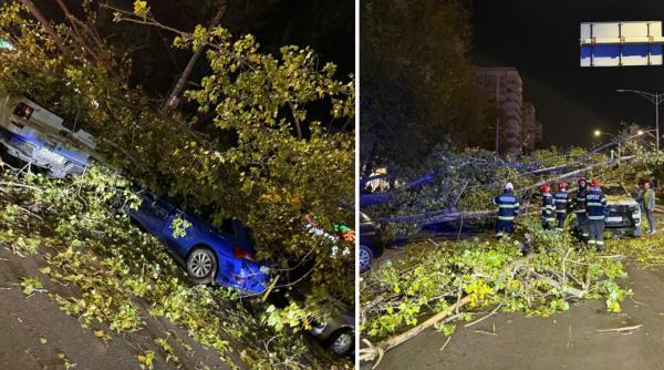 un copac a cazut peste patru masini si un scuter in bucuresti un livrator a fost ranit