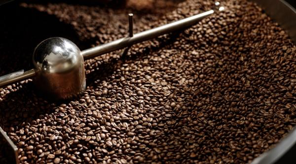 de la koppi roasters la un fenomen international cafeaua intr o combinatie neasteptata