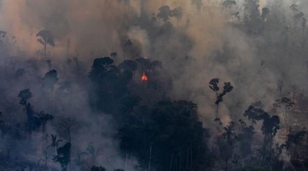 A luat foc pădurea Amazonului iar Super El Niño amplifică dezastrul. Incendiile au fost puse intenționat, spun autoritățile