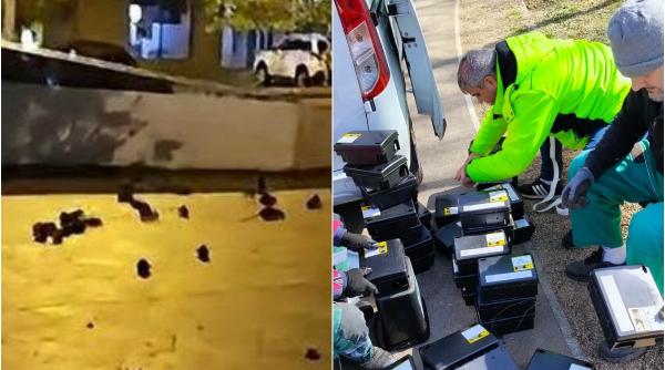 de ce misuna sobolanii in piata sf vineri primaria vine cu explicatii dupa imaginile scandaloase cu rozatoarele de pe trotuare