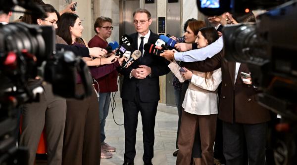 marile surprize din guvernul luca niculescu propunerea pentru ministerul ai vine de la bitdefender la cultura fondatoarea art safari