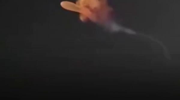 Imagini spectaculoase pe cerul nopții cu „meduza spațială”. NASA explică fenomenul apărut după lansarea unei rachete Falcon 9