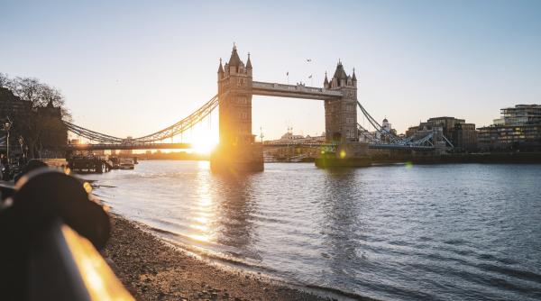 Migranții au ocupat patru din cinci noi locuri de muncă din Marea Britanie, în timp ce cheltuielile pentru șomaj au explodat