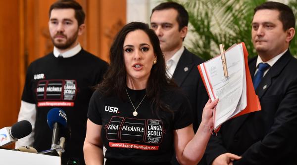 derapaj al deputatei usr diana stoica pe grupul unei comisii parlamentare de ce avem mai multi gay decat femei in guvern
