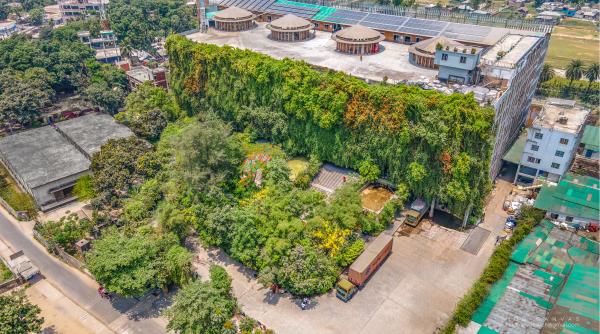 O fabrică tocmai a câștigat titlul de „cea mai bună clădire nouă din lume” în arhitectură: Are grădini și este acoperită de plante