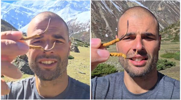a gasit viagra de himalaya o ciuperca rara care se vinde cu 100 000 dolari kg cine e vanatorul de ciuperci cu zeci de mii de fani