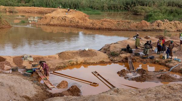 Cum rade aurul pădurile lumii: mineritul ilegal face ravagii din Ghana până în Amazonia