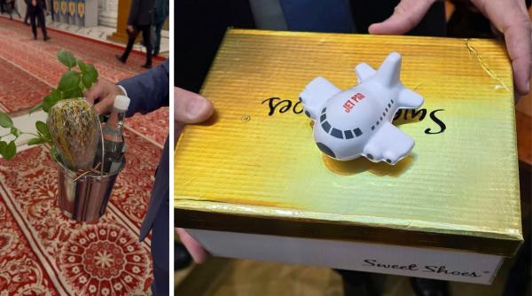 Cutii de pantofi, avioane de jucărie, agheasmă și tămâie: Recuzita parlamentarilor la votul pentru Guvernul Niculescu