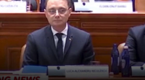 Este oficial: Guvernul Luca Niculescu a primit 280 de voturi pentru învestire 