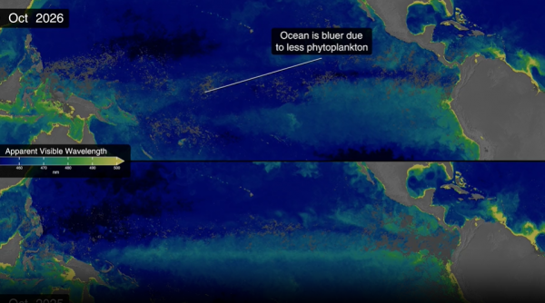 super el nino schimba culoarea oceanelor imaginile nasa arata cum apele verzi au devenit albastre