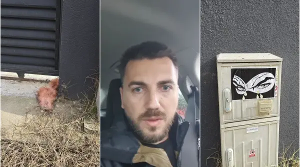curiosul caz al capului de porc un consilier angajat la aur marturiseste ca este autorul faptei dar rastoarna situatia cu o acuzatie